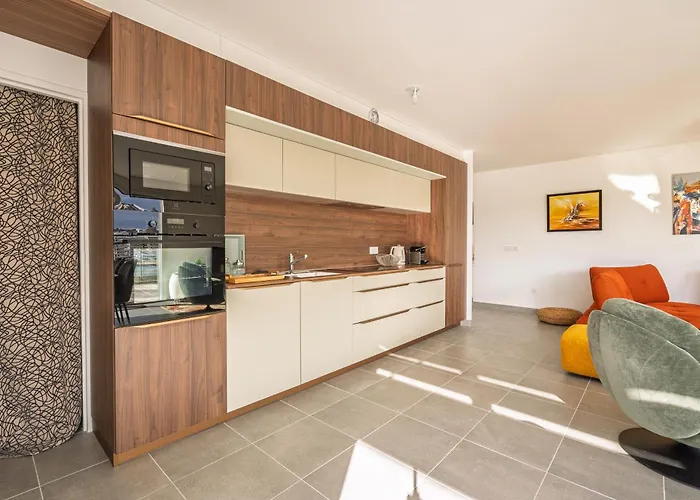 Le Moliere Rooftop Apartamento